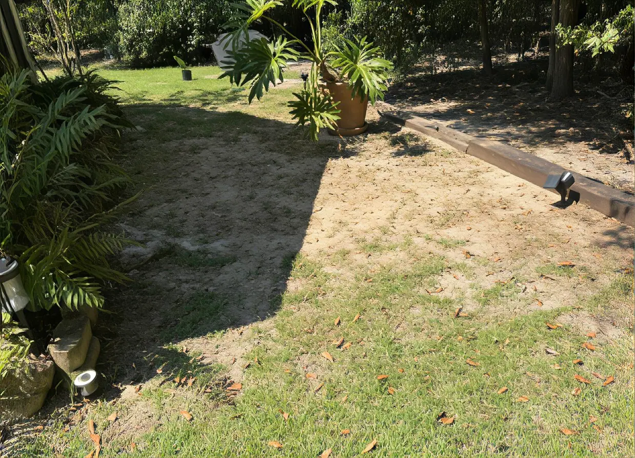 Hall backyard lawn beside the screened porch before installation